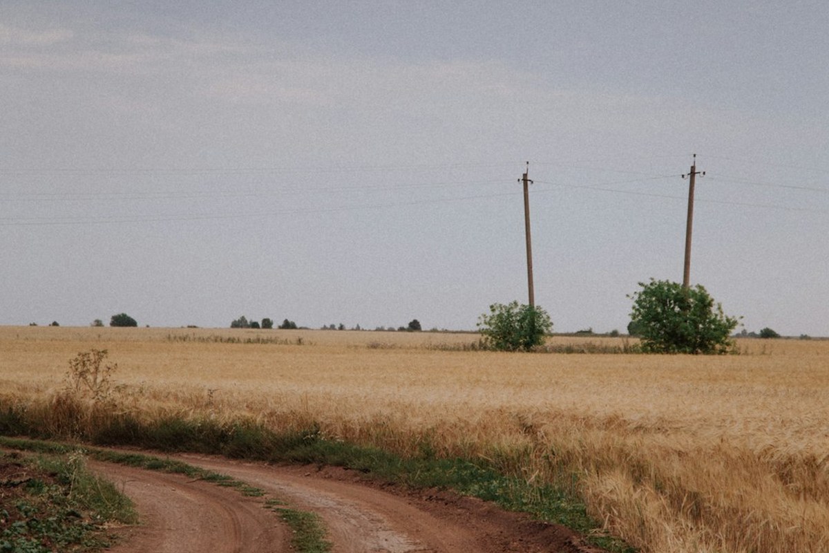 비만율, 도시보다 농어촌 더 높아…