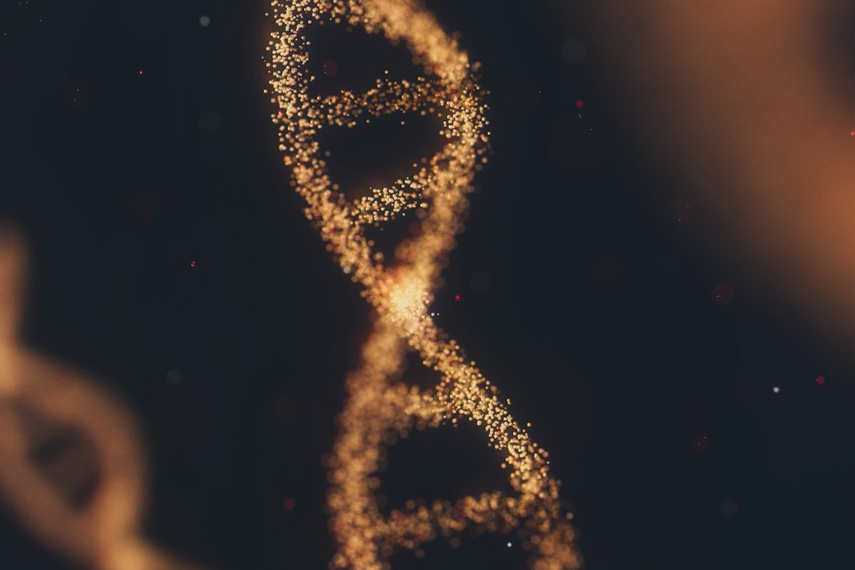 카나프테라퓨틱스 상장 첫날 ‘200%’ 급등 [Why 바이오] - 이미지 1