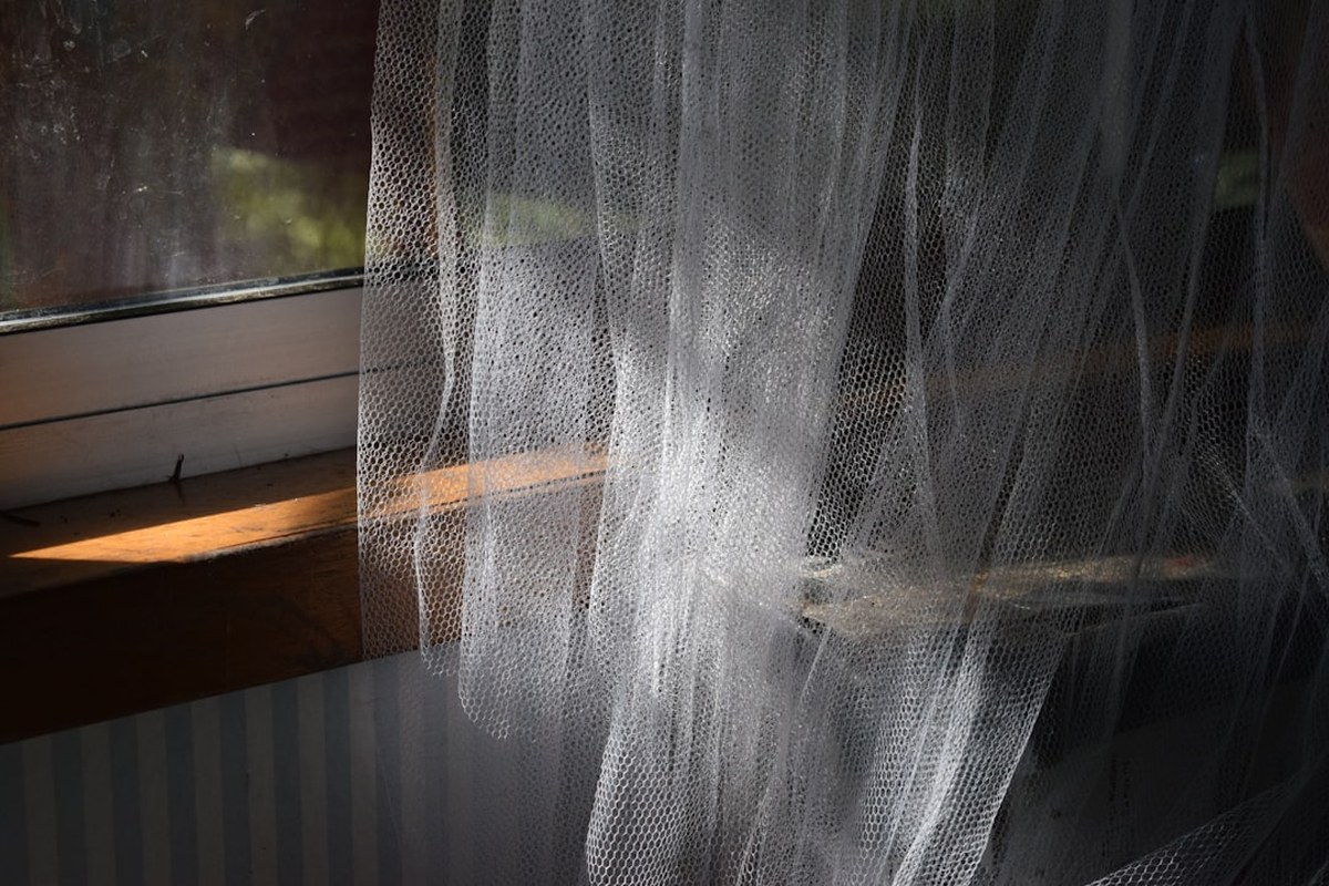 사람 가장 많이 죽이는 동물 1·2위 모기·뱀…3위가 ‘개’? - 이미지 1