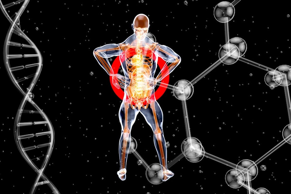 '노화 늦추는 단백질 찾았다'…KAIST 연구진, RNASEK 역할 규명 - 이미지 1