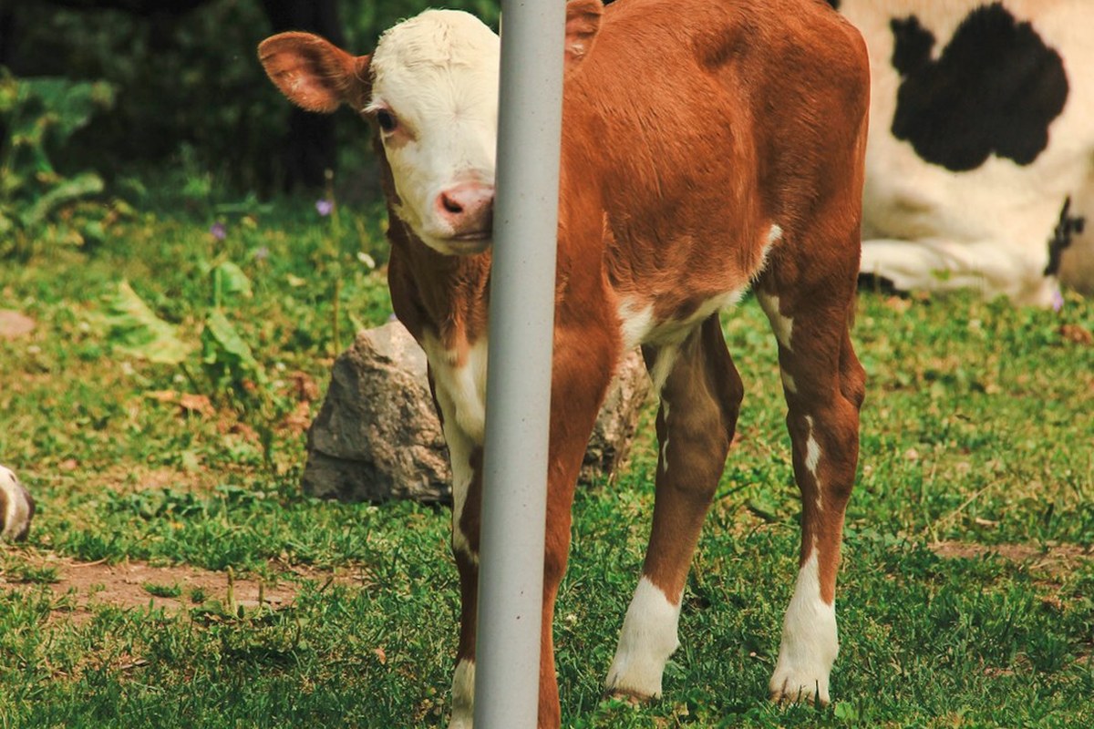 식후 산책은 귀찮고, 당뇨는 걱정? 앉아서 ‘이것’만 해도 혈당 감소 - 이미지 1
