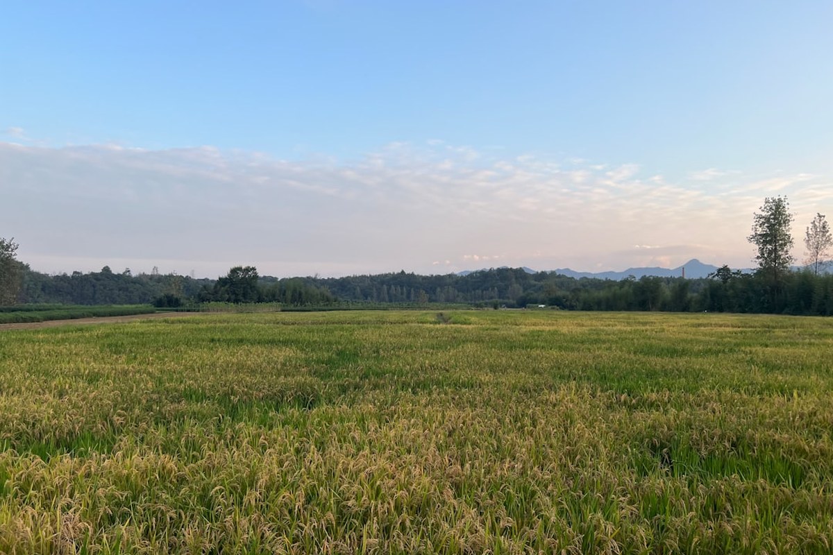 비만율, 도시보다 농어촌 더 높아…
