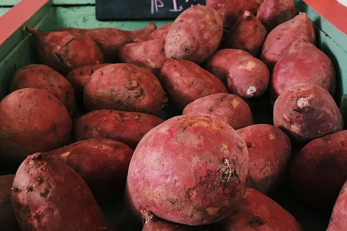 🍠고구마, 혈당 걱정 없이 건강하게 즐기는 법! 조리법부터 섭취량까지 완벽 가이드 ✅ - 이미지 2