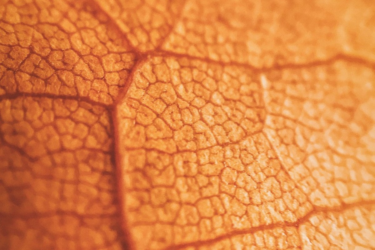 외국인 헷갈리는 한국 피부과… ‘이 간판’부터 확인하세요“ - 이미지 2