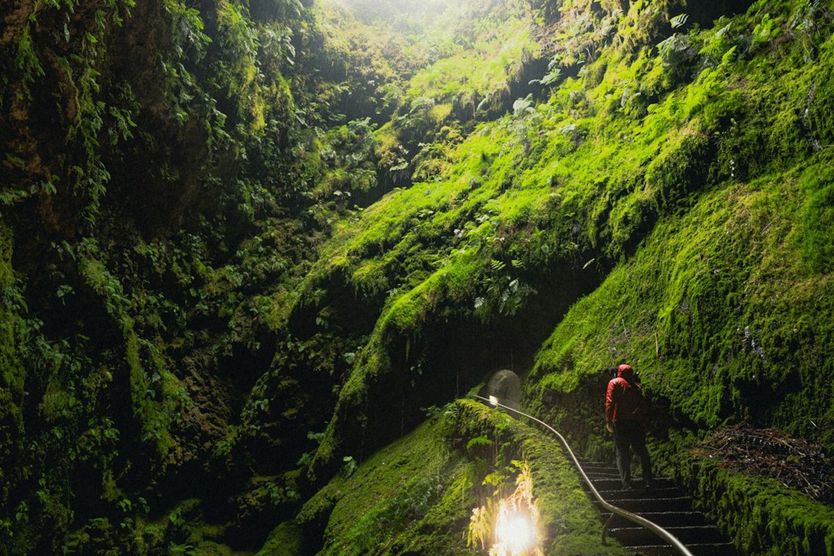 '노화 늦추는 단백질 찾았다'…KAIST 연구진, RNASEK 역할 규명 - 이미지 2