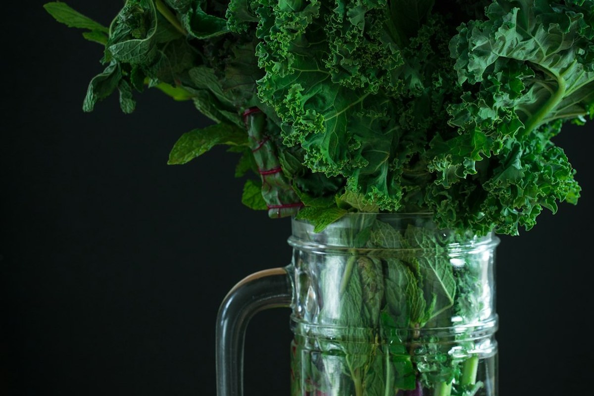 나영석, “강호동 먹은 것 사실 봄동 아니다”… 그럼 뭐야? - 이미지 2