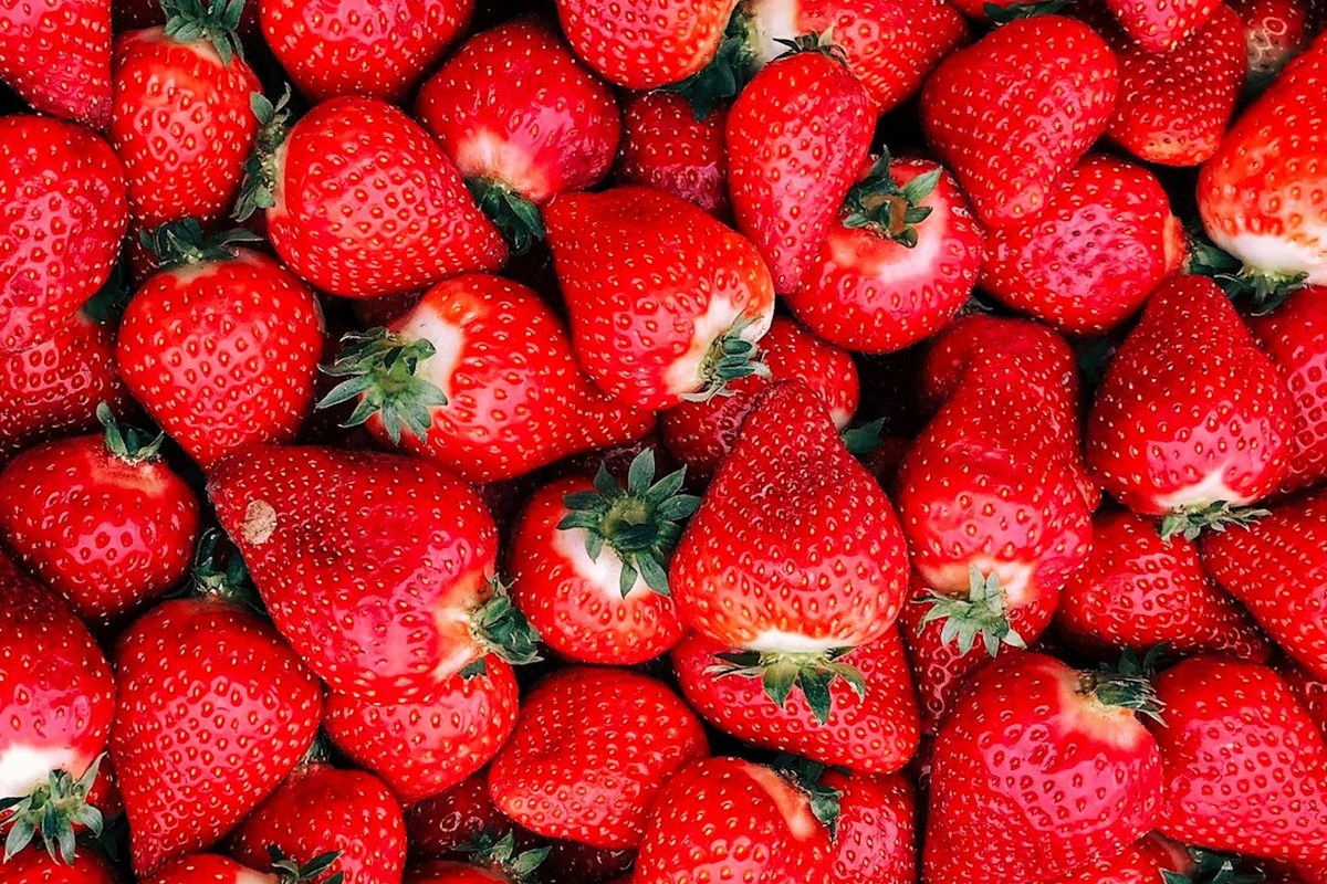 🍓노년층 주목! 매일 딸기 두 컵, 혈압·뇌 기능이 젊어진다? 💡 - 이미지 2