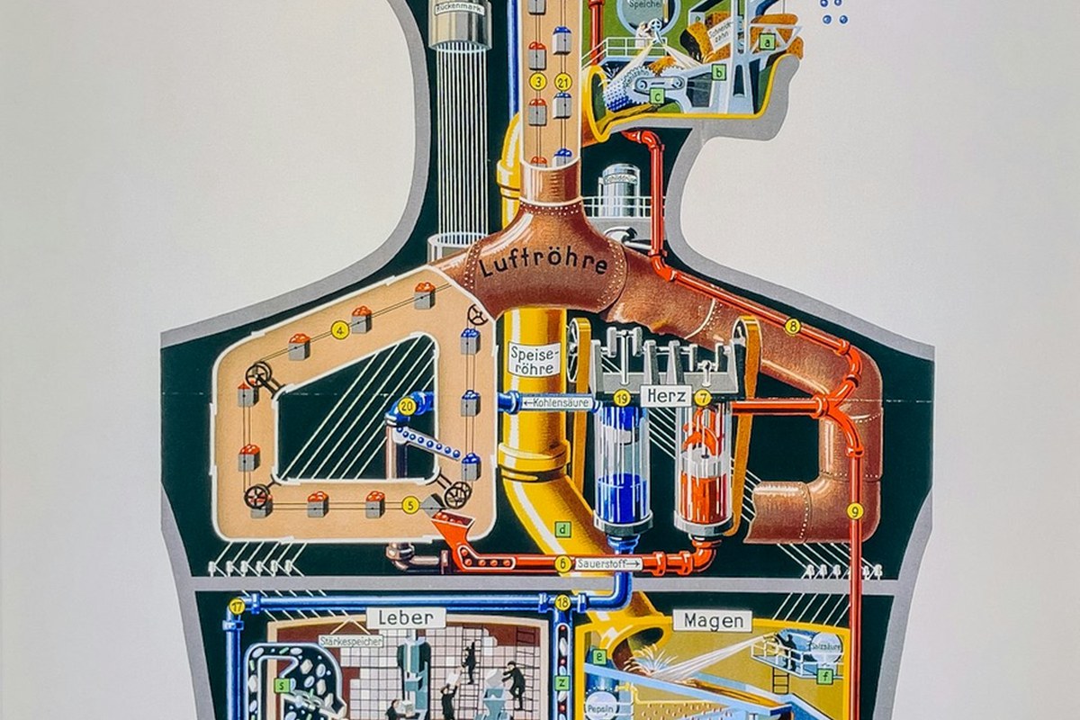 화장실 점점 자주 가는데, 나이 탓만?... 방치하다 콩팥 망가질라 - 이미지 2