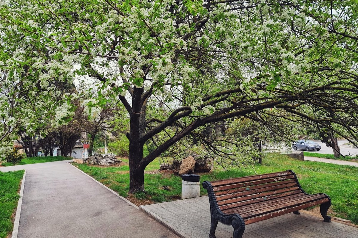 봄동비빔밥 열풍에 식약처도 등판…“잔류농약·중금속 검사한다” - 이미지 2