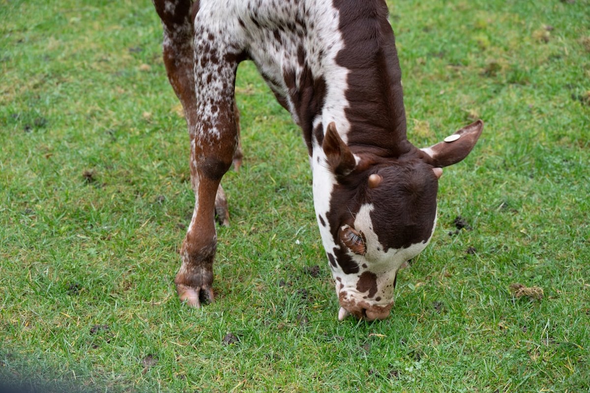식후 산책은 귀찮고, 당뇨는 걱정? 앉아서 ‘이것’만 해도 혈당 감소 - 이미지 2
