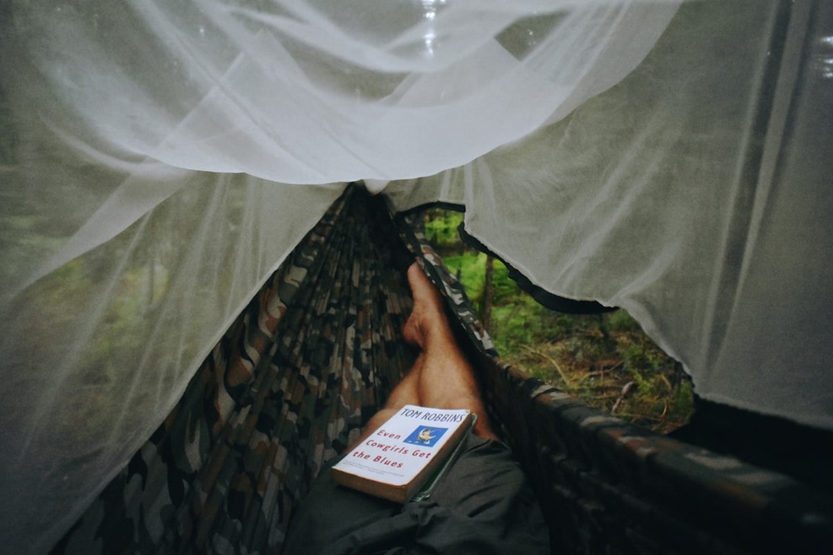 사람 가장 많이 죽이는 동물 1·2위 모기·뱀…3위가 ‘개’? - 이미지 3