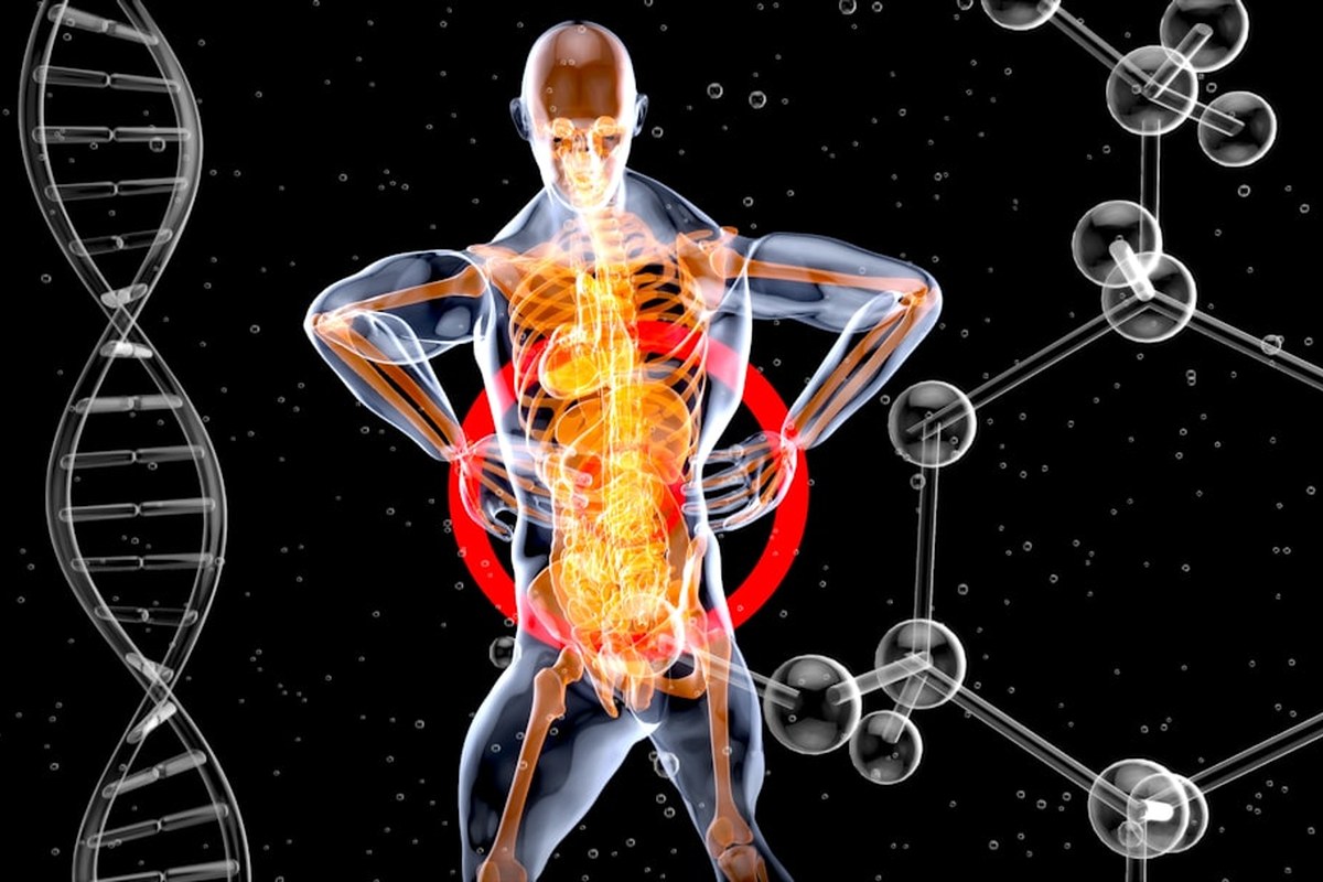 '노화 늦추는 단백질 찾았다'…KAIST 연구진, RNASEK 역할 규명 - 이미지 3