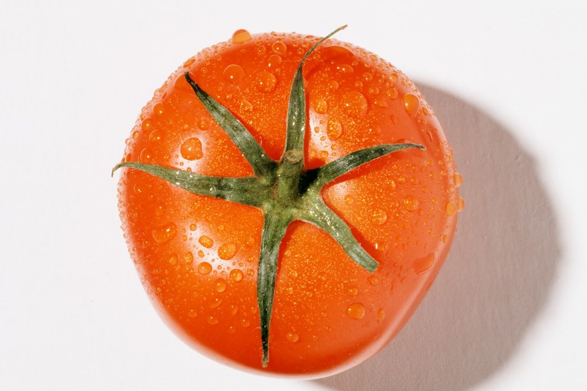 “토마토 많이 먹어야겠네!”…‘이 성분’ 잇몸병 위험 낮춘다고? - 이미지 3