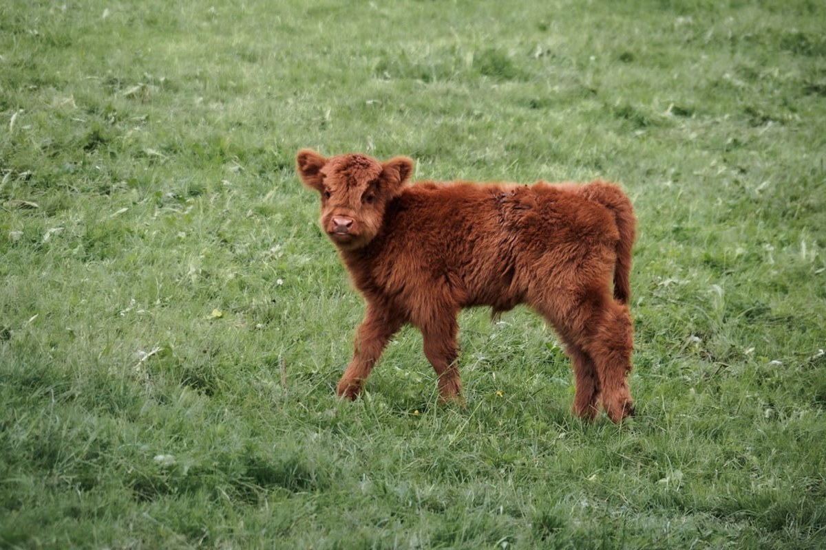 식후 산책은 귀찮고, 당뇨는 걱정? 앉아서 ‘이것’만 해도 혈당 감소 - 이미지 3