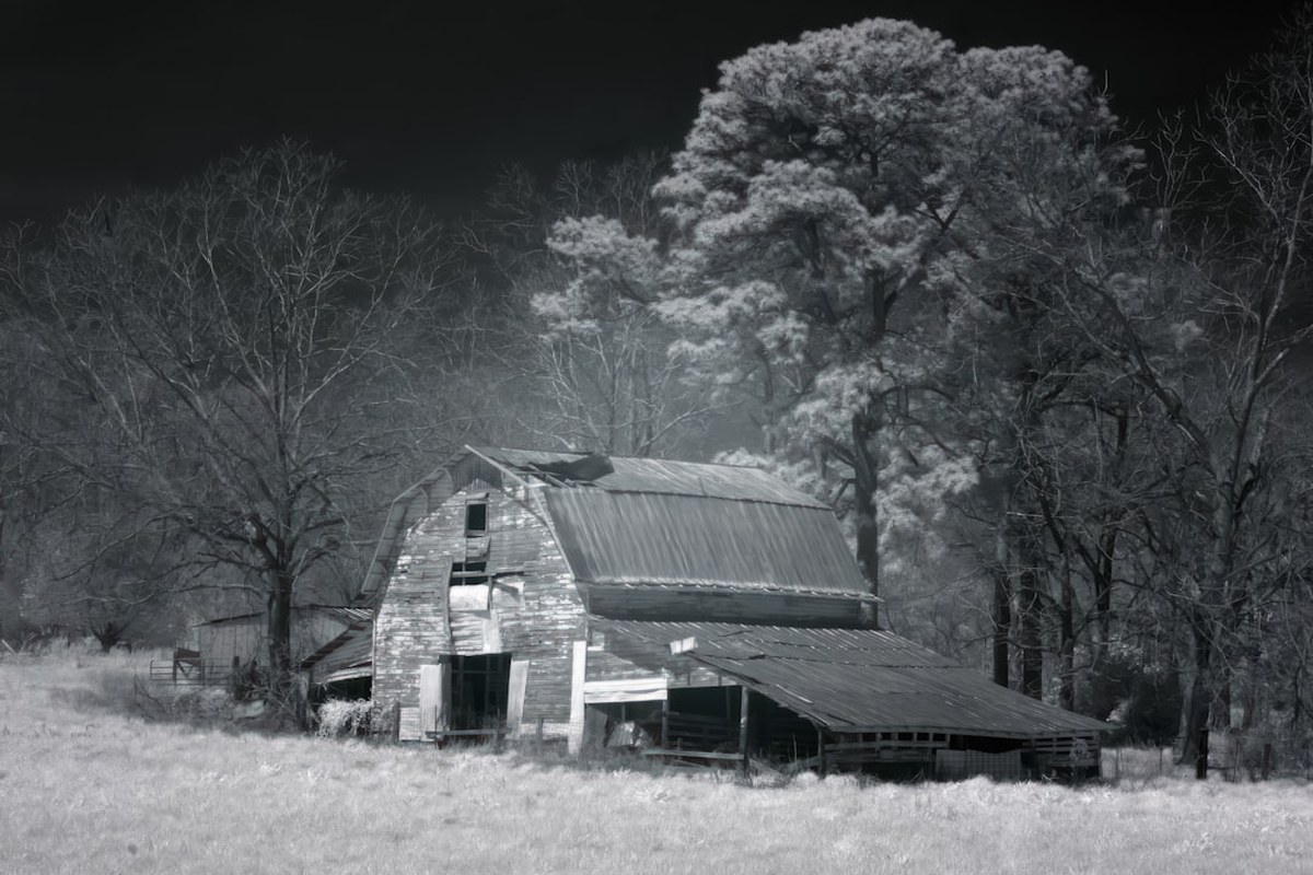 비만율, 도시보다 농어촌 더 높아…