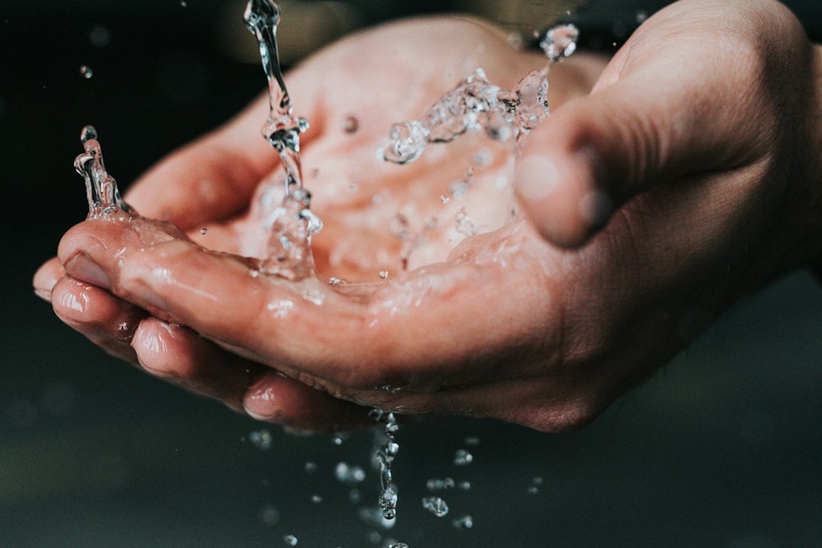 “성관계 후 가렵더니” 20대 女, ‘이 벌레’ 발견… 무슨 일? - 이미지 4