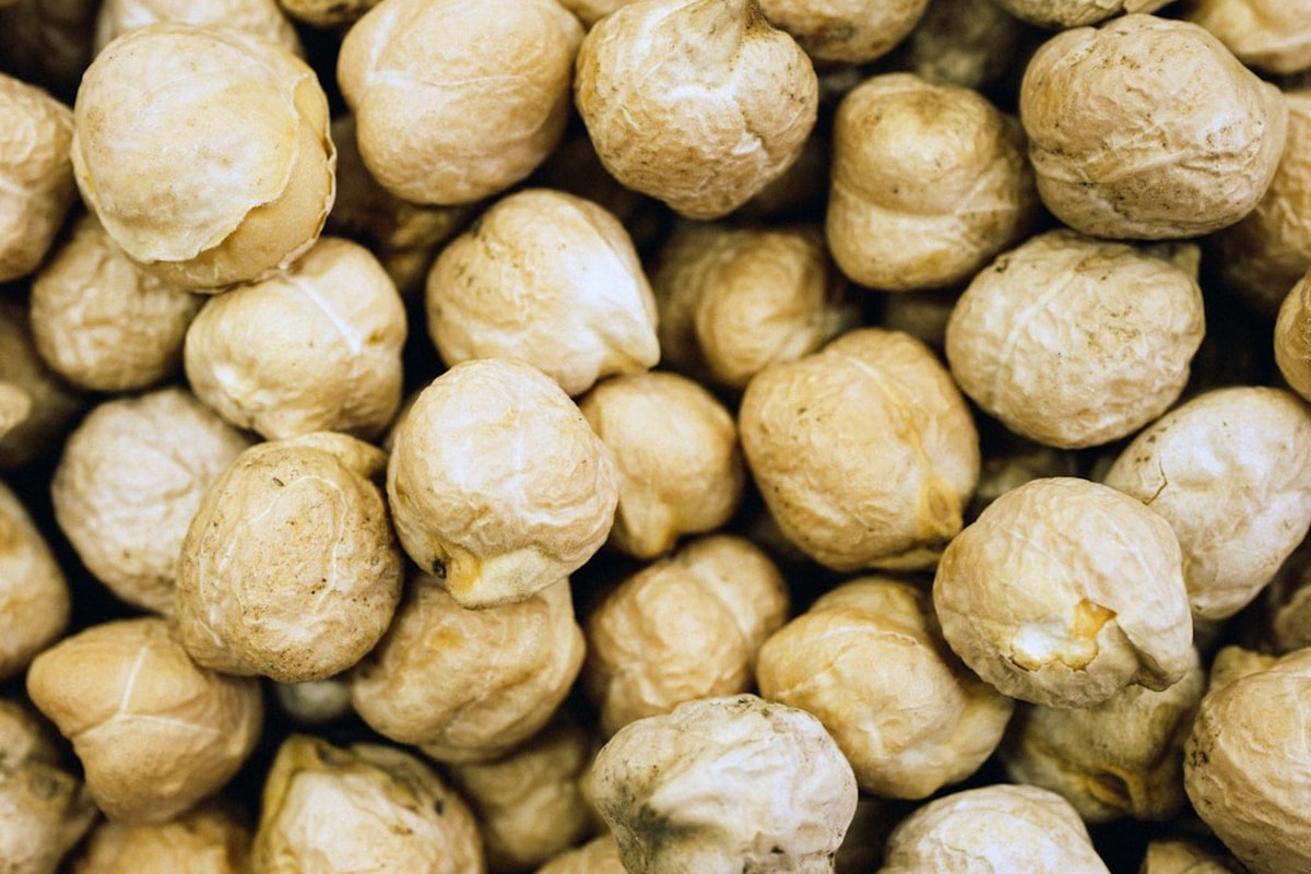 후무스·샐러드에 사용되는 ‘병아리콩’⋯달 재배 최초 식품 될까 - 이미지 4