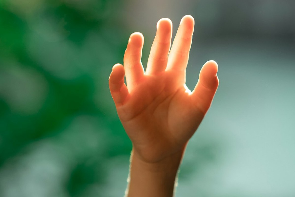 “손가락 길이 보면 동성애자인지 알 수 있다” [라이프] - 이미지 4