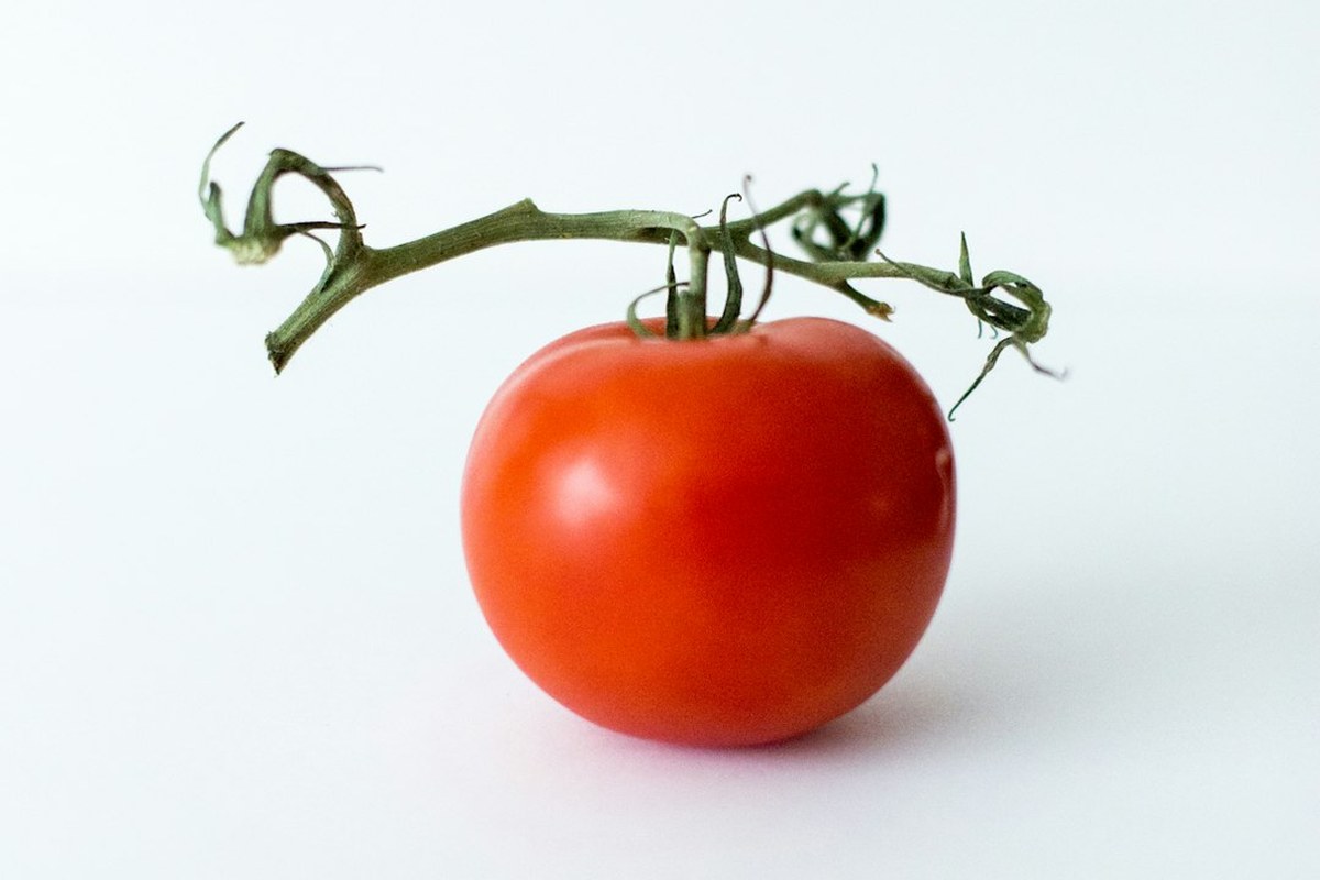 “토마토 많이 먹어야겠네!”…‘이 성분’ 잇몸병 위험 낮춘다고? - 이미지 4