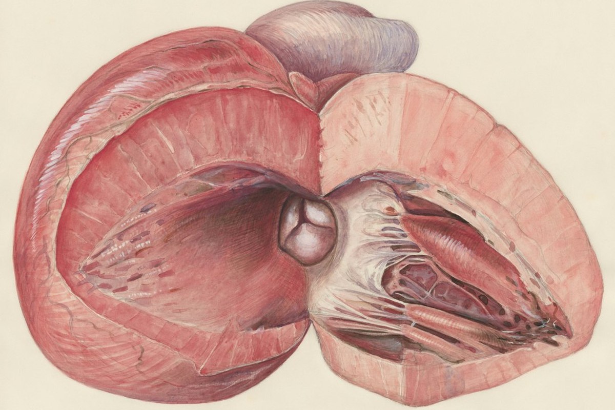 화장실 점점 자주 가는데, 나이 탓만?... 방치하다 콩팥 망가질라 - 이미지 4