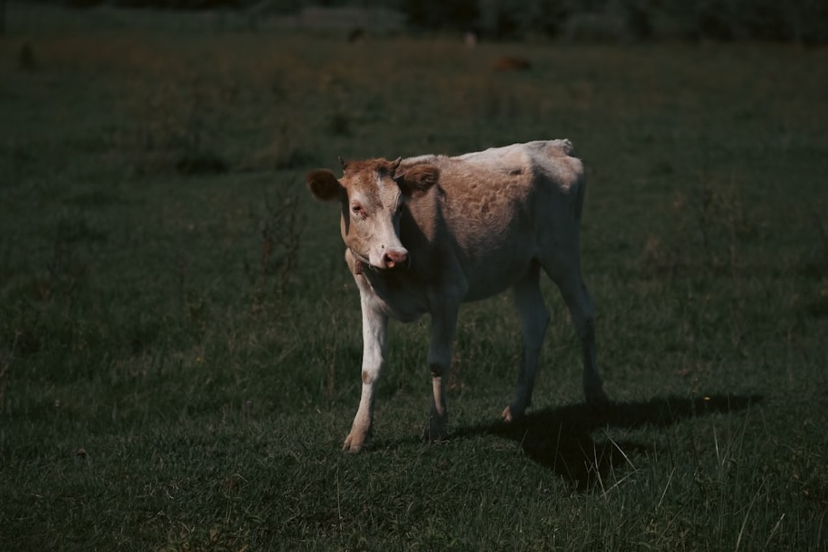 식후 산책은 귀찮고, 당뇨는 걱정? 앉아서 ‘이것’만 해도 혈당 감소 - 이미지 4
