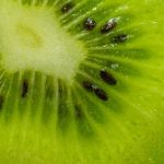 쾌변의 비밀, '이 과일'에 숨어있다? 🥝 변비 탈출 돕는 키위의 놀라운 효능!