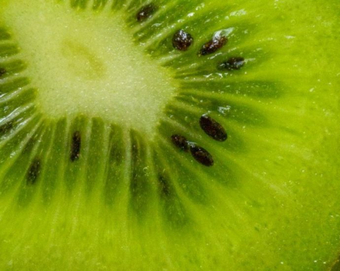 쾌변의 비밀, '이 과일'에 숨어있다? 🥝 변비 탈출 돕는 키위의 놀라운 효능!