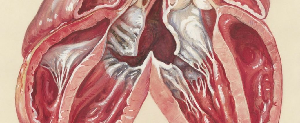 🔥 속쓰림, 쉰 목소리, 잦은 트림? 역류성 식도염, 생활 습관으로 잡는 법 💊