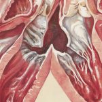 🔥 속쓰림, 쉰 목소리, 잦은 트림? 역류성 식도염, 생활 습관으로 잡는 법 💊