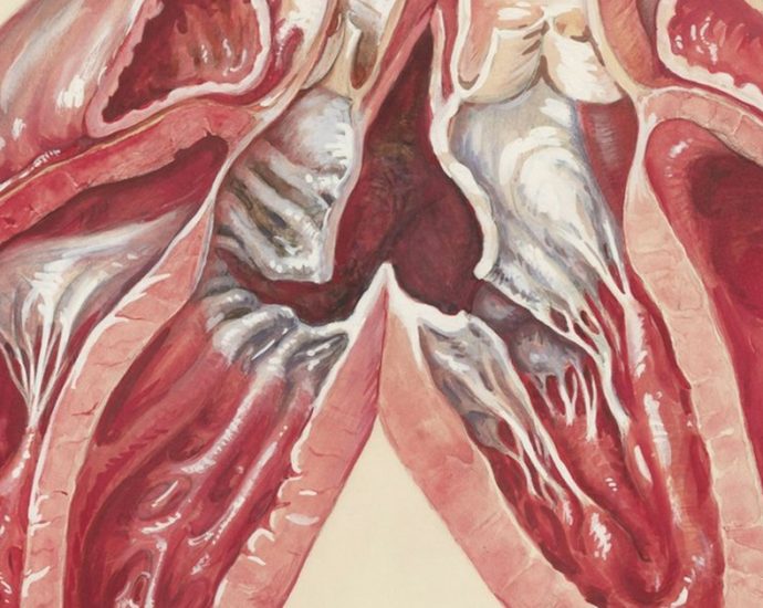 🔥 속쓰림, 쉰 목소리, 잦은 트림? 역류성 식도염, 생활 습관으로 잡는 법 💊