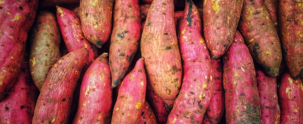 🍠고구마, 혈당 걱정 없이 건강하게 즐기는 법! 조리법부터 섭취량까지 완벽 가이드 ✅