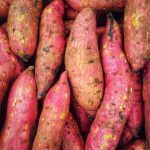 🍠고구마, 혈당 걱정 없이 건강하게 즐기는 법! 조리법부터 섭취량까지 완벽 가이드 ✅