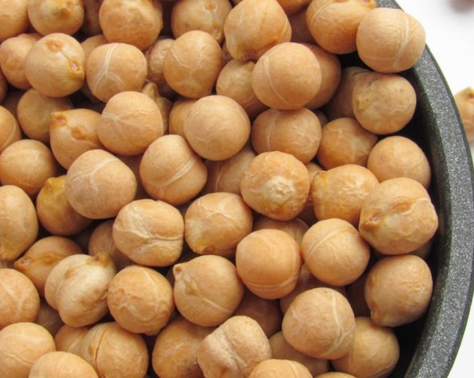 후무스·샐러드에 사용되는 ‘병아리콩’⋯달 재배 최초 식품 될까