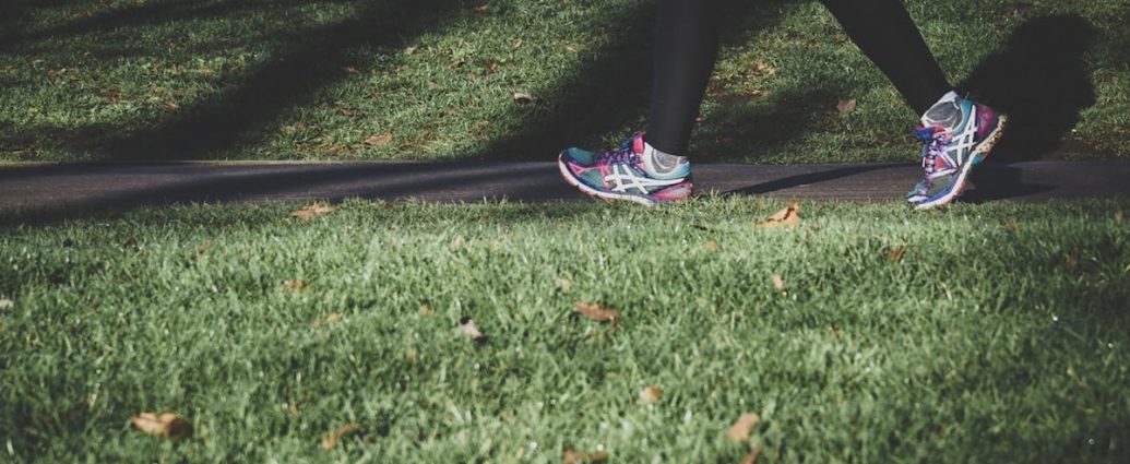 🚶‍♀️🌳 해남 달마고도 힐링 걷기: 시니어 건강을 위한 완벽한 봄맞이 여행!