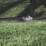 🚶‍♀️🌳 해남 달마고도 힐링 걷기: 시니어 건강을 위한 완벽한 봄맞이 여행!