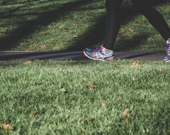 🚶‍♀️🌳 해남 달마고도 힐링 걷기: 시니어 건강을 위한 완벽한 봄맞이 여행!