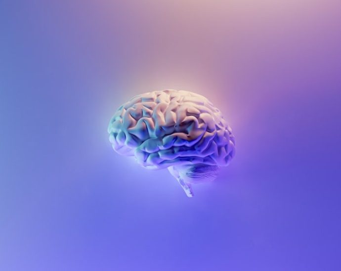 👃코로 뇌 손상 치료? 비수술 줄기세포, 외상성 뇌손상 새 희망 💡