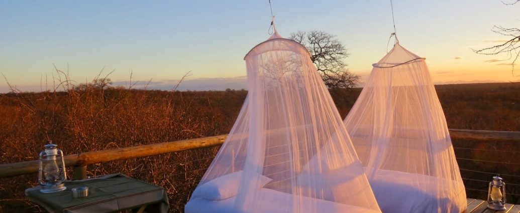 사람 가장 많이 죽이는 동물 1·2위 모기·뱀…3위가 ‘개’?