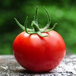 “토마토 많이 먹어야겠네!”…‘이 성분’ 잇몸병 위험 낮춘다고?