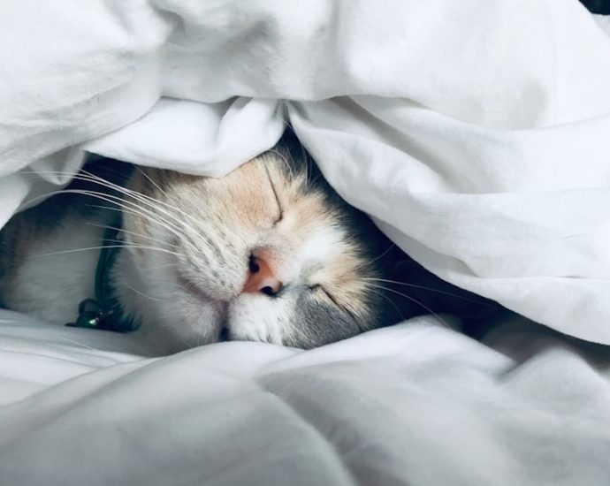 😴 혈당 관리의 숨은 열쇠, '최적 수면 시간'을 찾아라! 💡