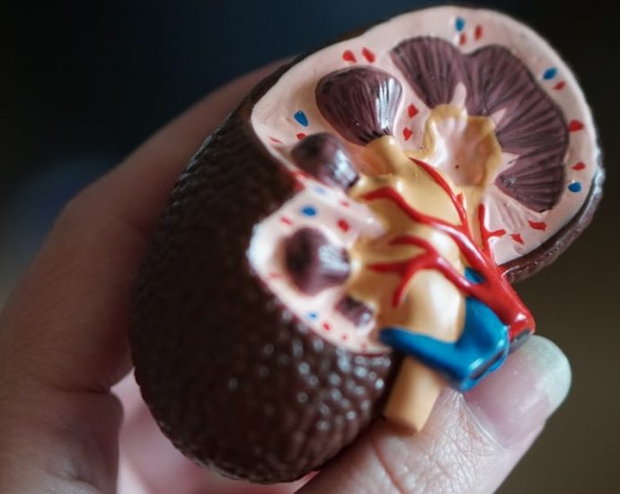 화장실 점점 자주 가는데, 나이 탓만?... 방치하다 콩팥 망가질라