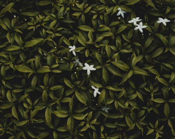 봄동비빔밥 열풍에 식약처도 등판…“잔류농약·중금속 검사한다”