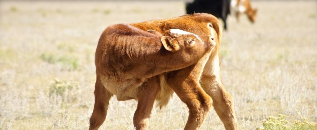 식후 산책은 귀찮고, 당뇨는 걱정? 앉아서 ‘이것’만 해도 혈당 감소