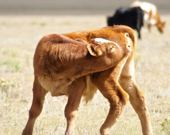 식후 산책은 귀찮고, 당뇨는 걱정? 앉아서 ‘이것’만 해도 혈당 감소
