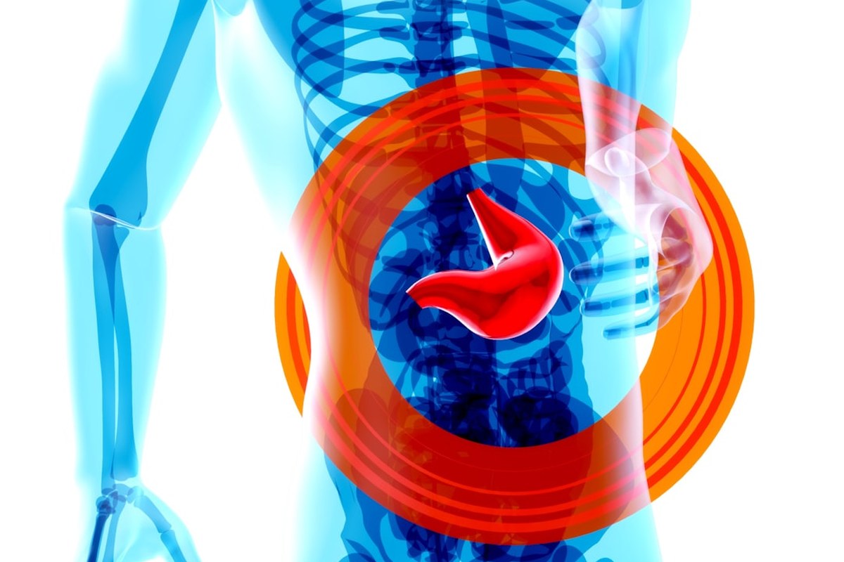 간 건강, 술만 보지 마세요! 이상지질혈증도 함께 관리해야 하는 이유 ✅ - 이미지 1