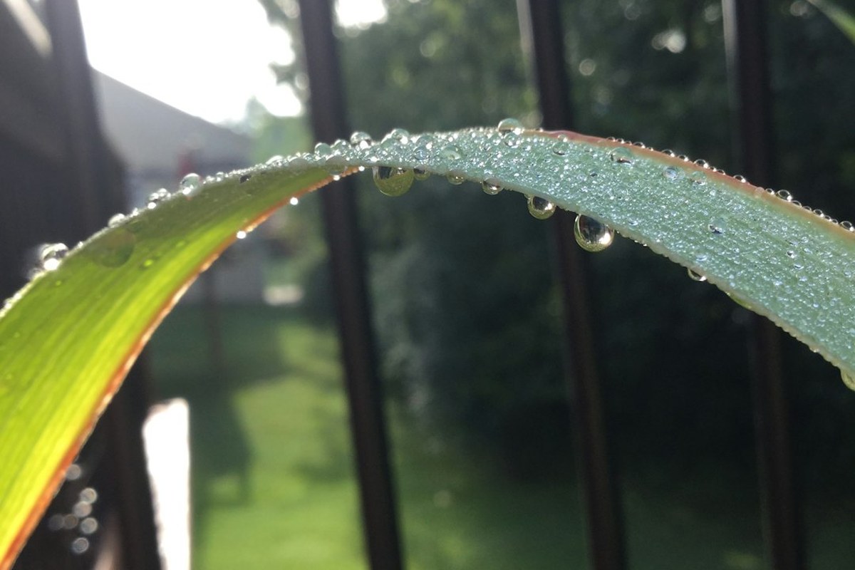 💧 아침 첫 물 한 잔의 놀라운 기적: 신진대사 UP, 뇌 기능 UP! ✅ - 이미지 1