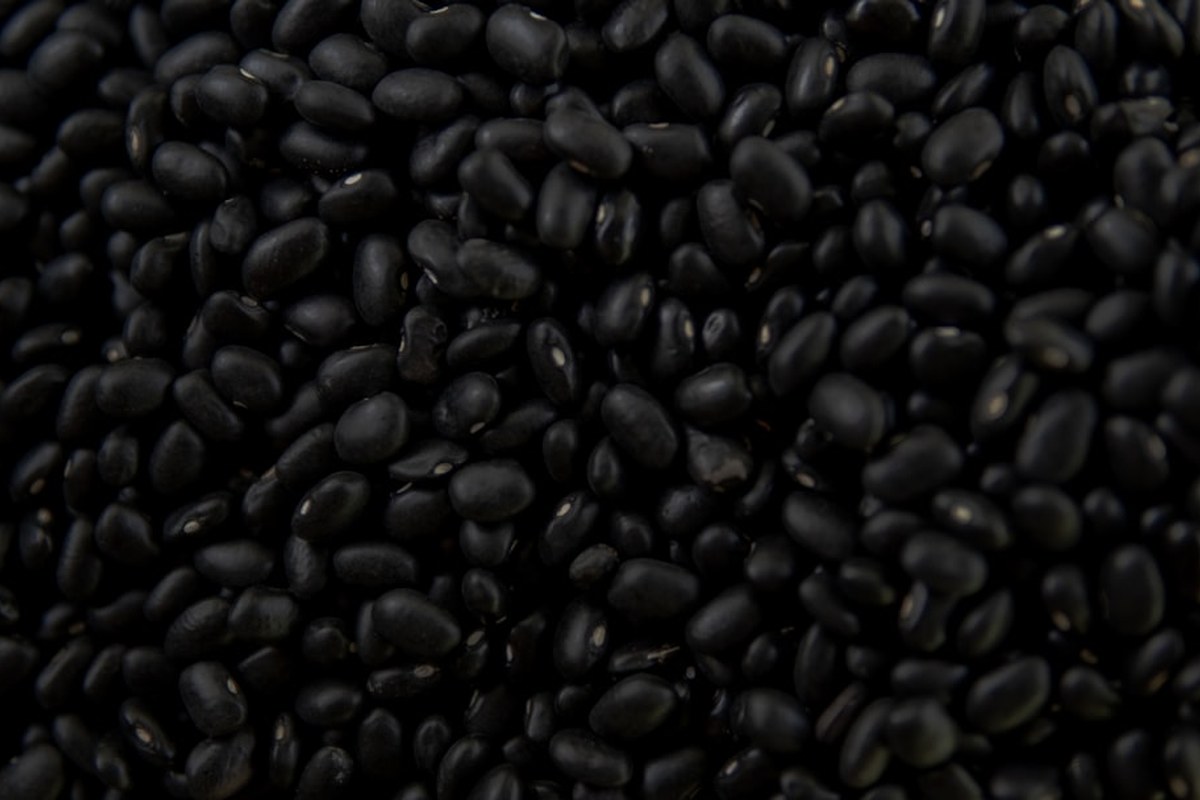 🩸혈관 청소부? 🩺혈당 조절? 검은콩의 놀라운 효능 5가지와 똑똑한 섭취법 ✅ - 이미지 1