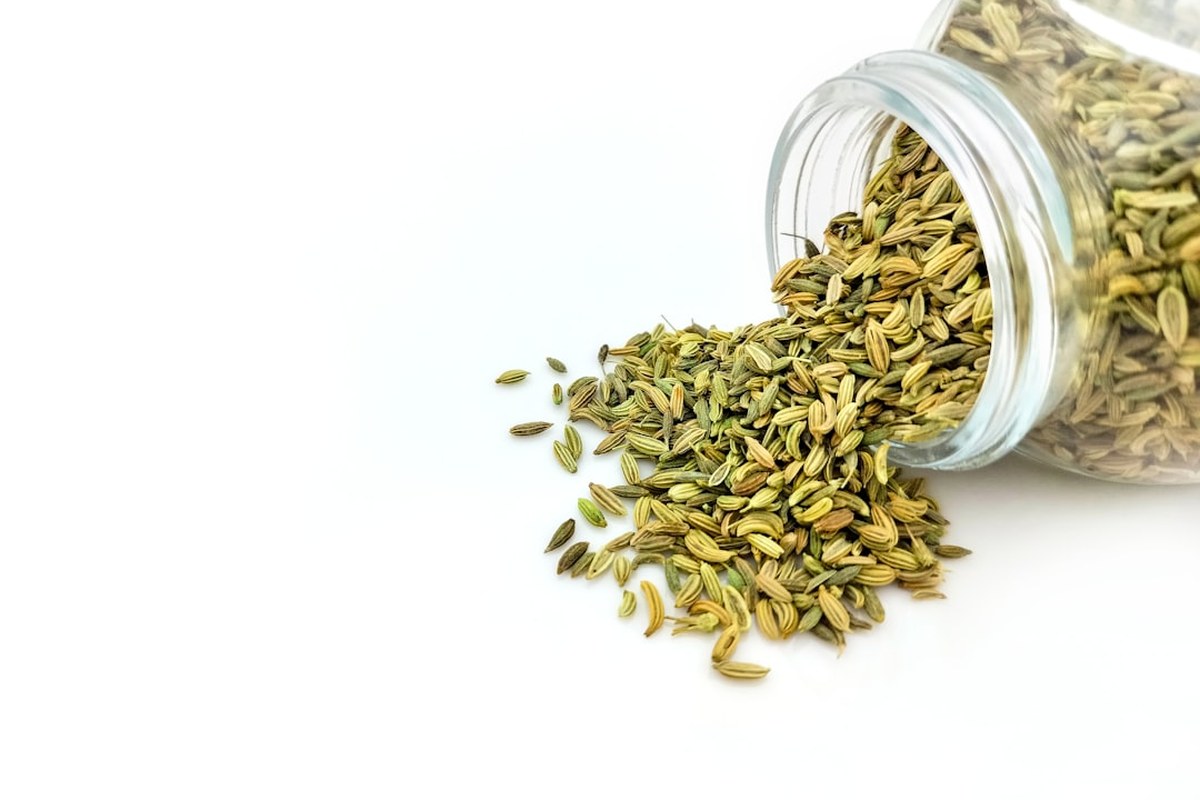 🌿 회향, 신진대사 UP! 내과 의사가 추천하는 슈퍼 채소의 비밀 💡 - 이미지 2