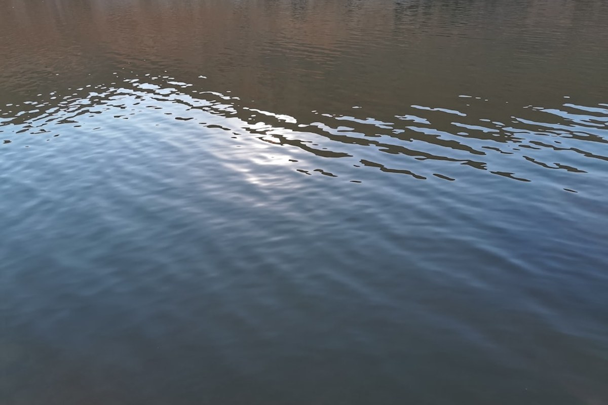 💧 아침 첫 물 한 잔의 놀라운 기적: 신진대사 UP, 뇌 기능 UP! ✅ - 이미지 2