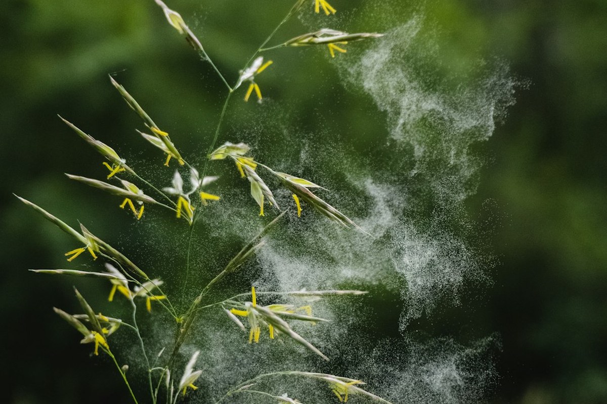 🌸 봄철 비염, 방치하면 천식까지? 소아 얼굴형 변화까지 유발하는 위험성 ✅ - 이미지 2